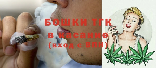 бошки Алексин