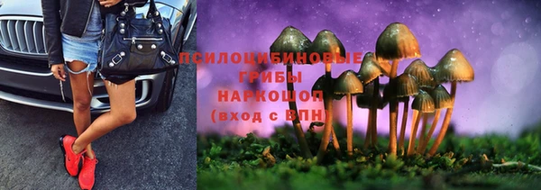 героин Алзамай